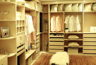 整体衣柜代理品牌选择指南 如何找到最适合您的合作伙伴